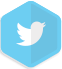 Visítenos en Twitter